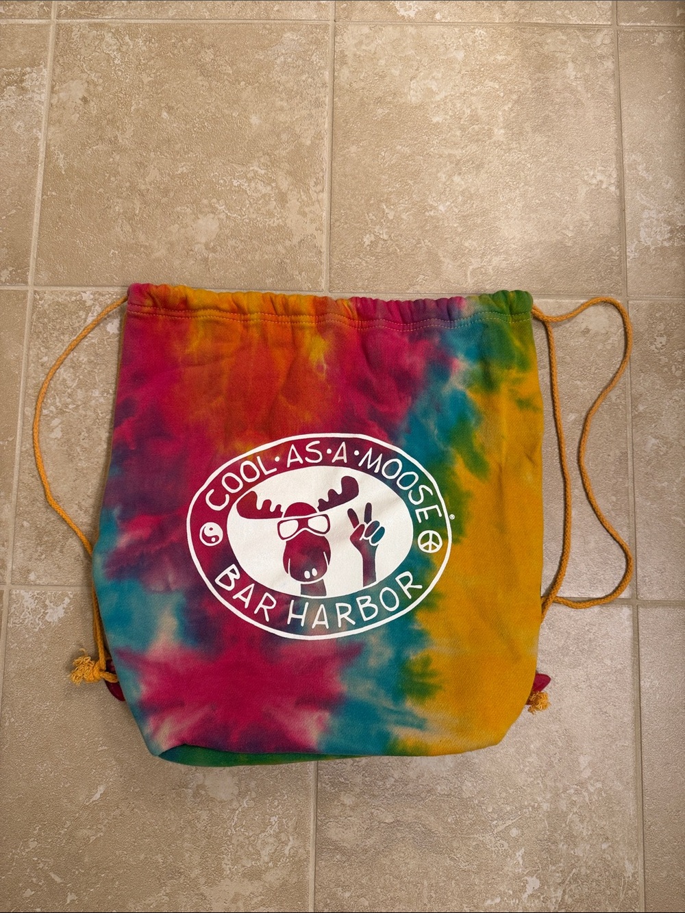 Cool As A Moose Tie-Dye Drawstring Bag from Bar Harbor, Maine
